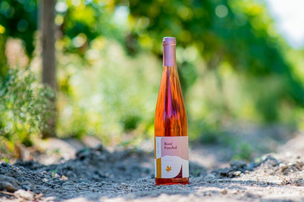 Degustácia Víno Lednár