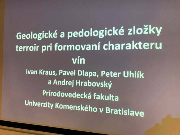 Vplyv podložia na vinnú révu